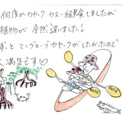 マングローブカヤックツアーのご感想