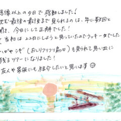 マングローブカヤックツアーのご感想