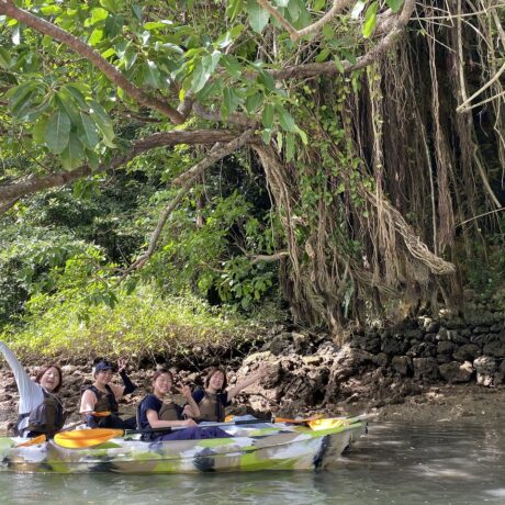 マングローブカヤック