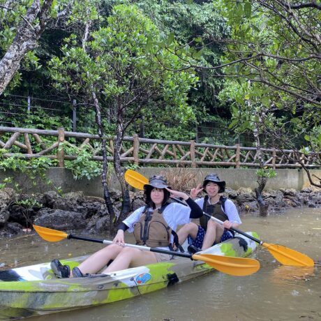 マングローブカヤック