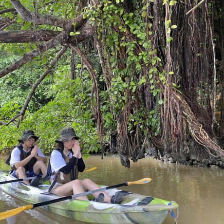 カップルカヤック