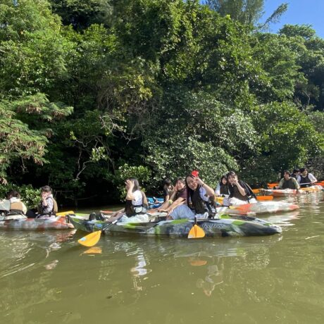 マングローブカヤック