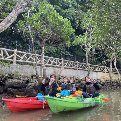 マングローブカヤック