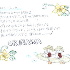 マングローブカヤックツアーへのご感想