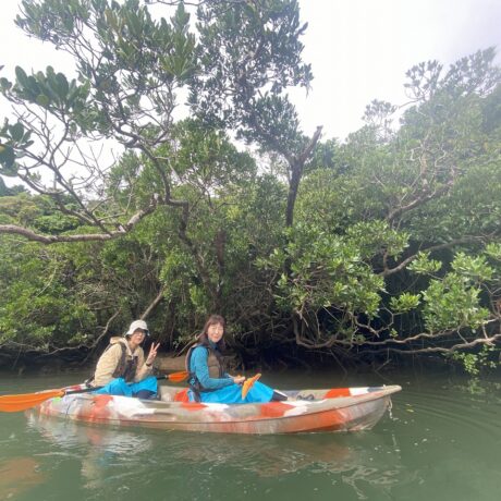 マングローブカヤック