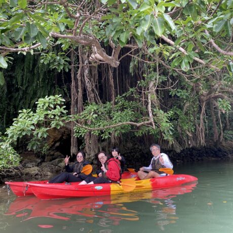 マングローブカヤック