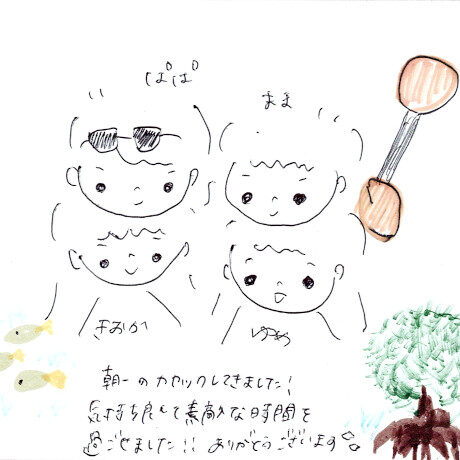 マングローブカヤックツアーのご感想