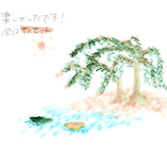 マングローブカヤックのご感想