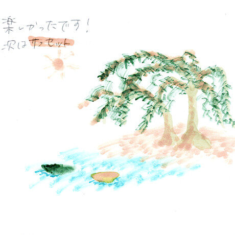 マングローブカヤックのご感想