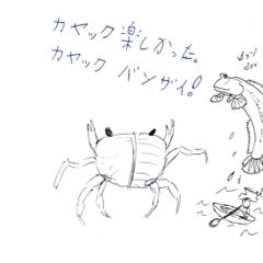 マングローブカヤックツアーのご感想