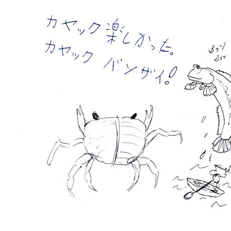 マングローブカヤックツアーのご感想