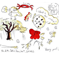 マングローブカヤックツアーのご感想