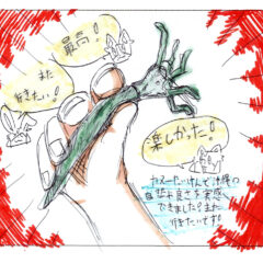 マングローブカヤックのご感想