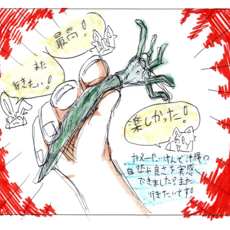 マングローブカヤックのご感想