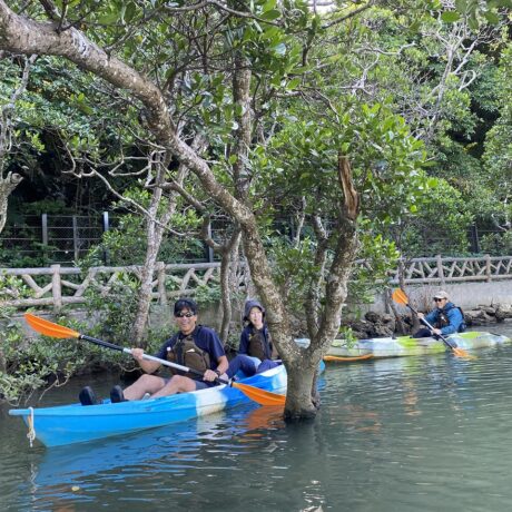 マングローブカヤック