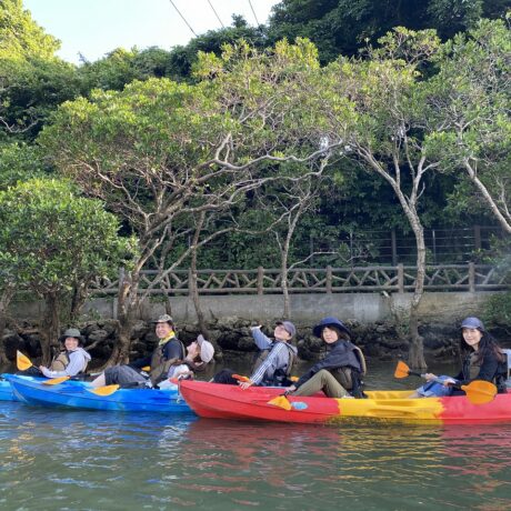 マングローブカヤック