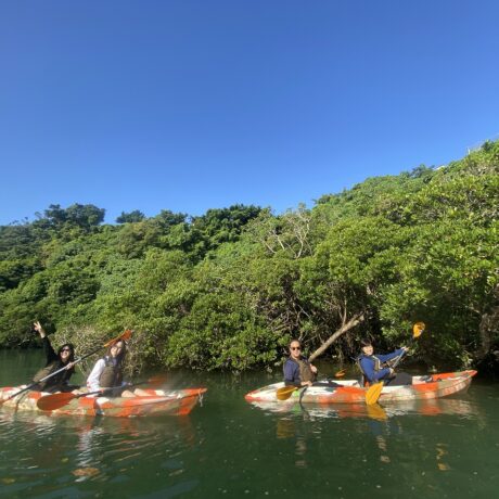 マングローブカヤック