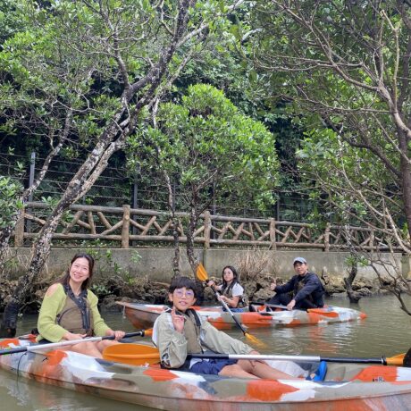 マングローブカヤックツアー