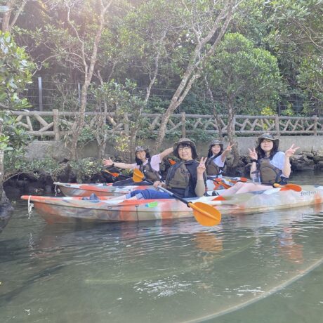 マングローブカヤック