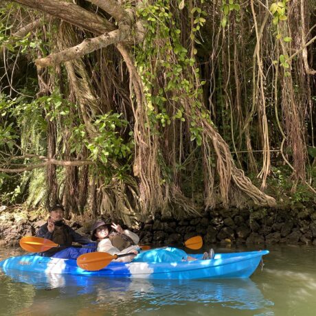 マングローブカヤック