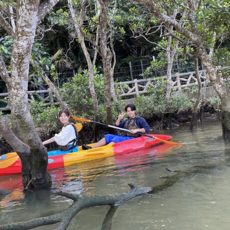 マングローブカヤック