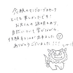 マングローブカヤックのご感想