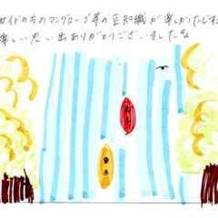 マングローブカヤックのご感想