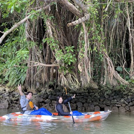 マングローブカヤック
