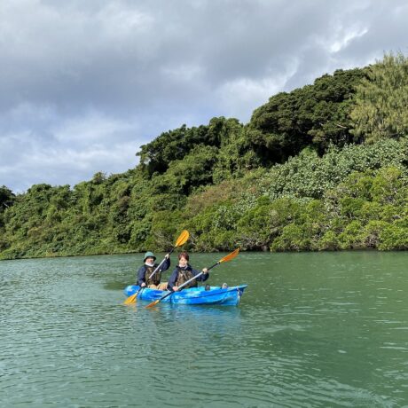 マングローブカヤック