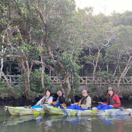 マングローブカヤック