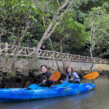 マングローブカヤック