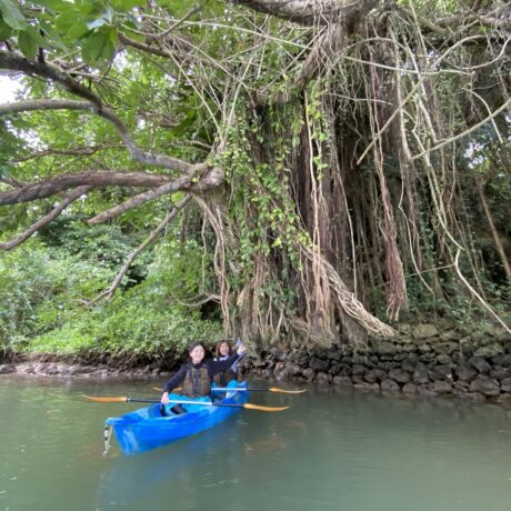 ガジュマルカヤック