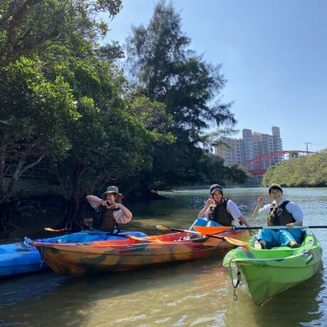 マングローブカヤック