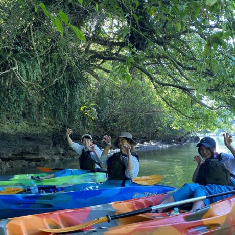 マングローブカヤック