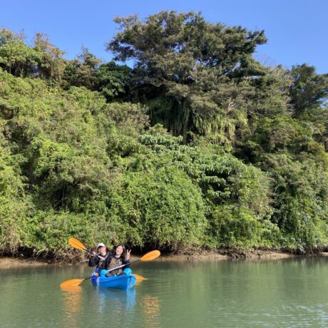 マングローブカヤック