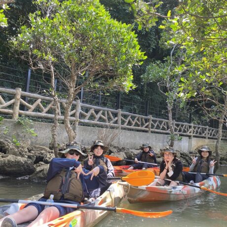 マングローブカヤック