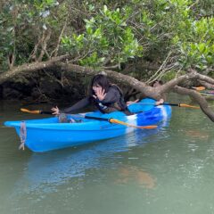 マングローブカヤック