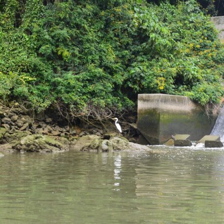 カヤックツアー