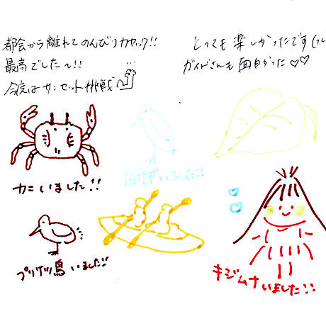 マングローブカヤックのご感想