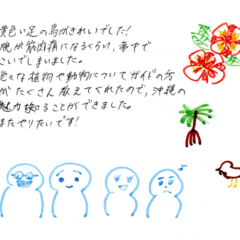 マングローブカヤックのご感想