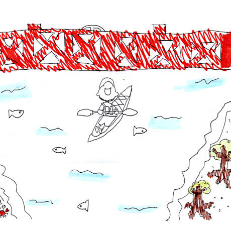 マングローブカヤックのご感想