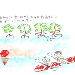 マングローブカヤックのご感想