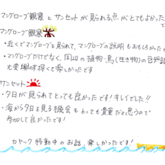 マングローブカヤックのご感想