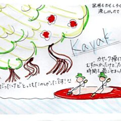 マングローブカヤックのご感想