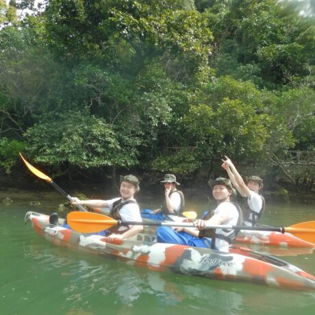 マングローブカヤック