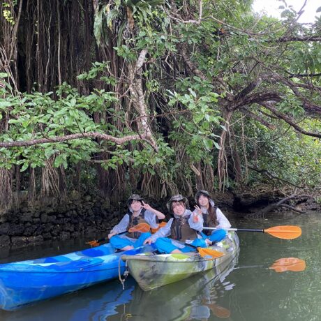 マングローブカヤック