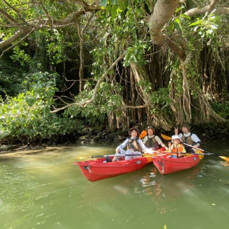 マングローブカヤックのご感想