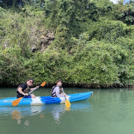 マングローブカッヤク