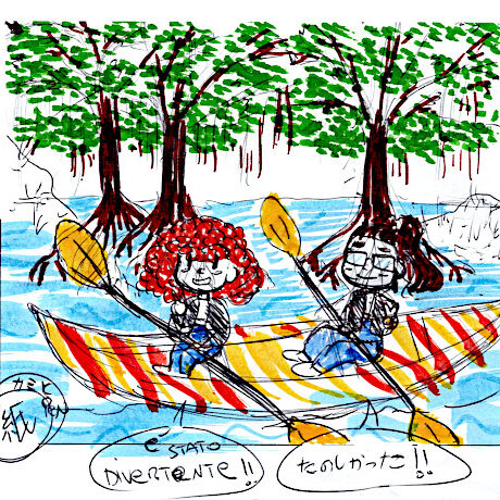 マングローブカヤックのご感想