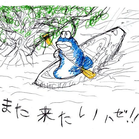 マングローブカヤックのご感想